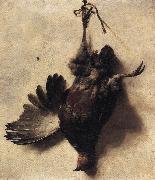 Dead Partridge WEENIX, Jan Baptist